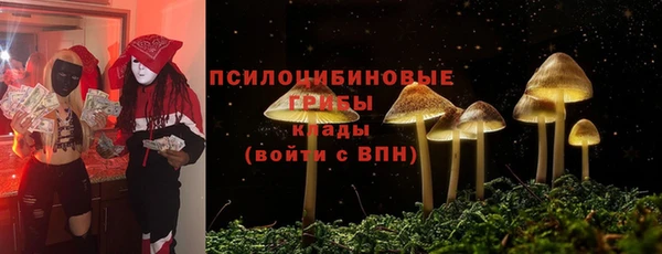 шишки Алзамай