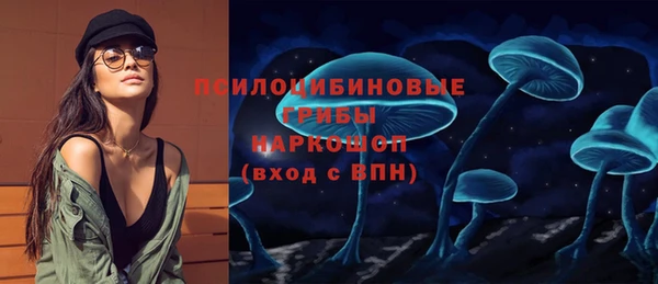 СК Алексин