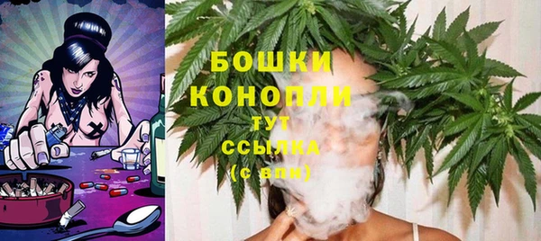 шишки Алзамай