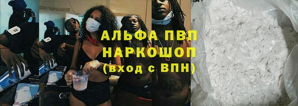 СК Алексин