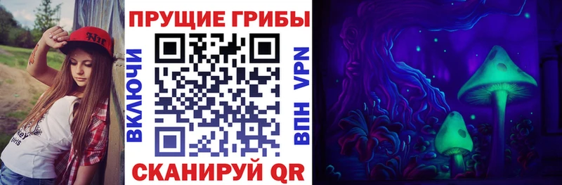 Псилоцибиновые грибы GOLDEN TEACHER Звенигород