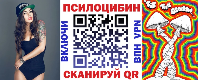 Псилоцибиновые грибы Psilocybe  сколько стоит  OMG ссылки  нарко площадка состав  Звенигород 