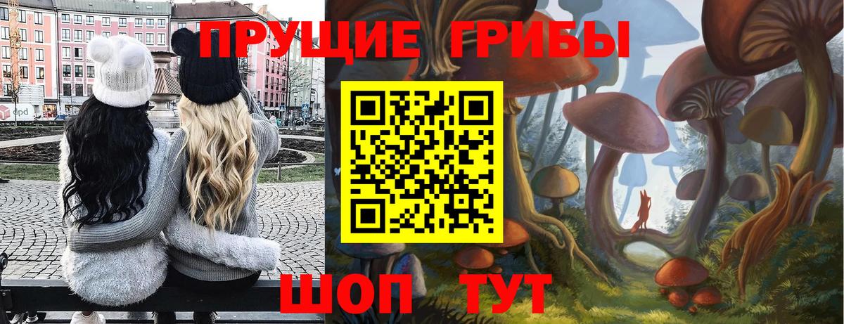 Звенигород  Галлюциногенные грибы ЛСД  Вход с VPN  Галлюциногенные грибы мухоморы 
